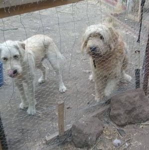 Meet your Posher, Averys